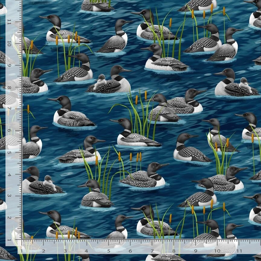 Loon Fabric - Timeless Treasures - Lake Life - 100% Cotton - Water Bird Fishing Outdoor Sports Hunting Migration