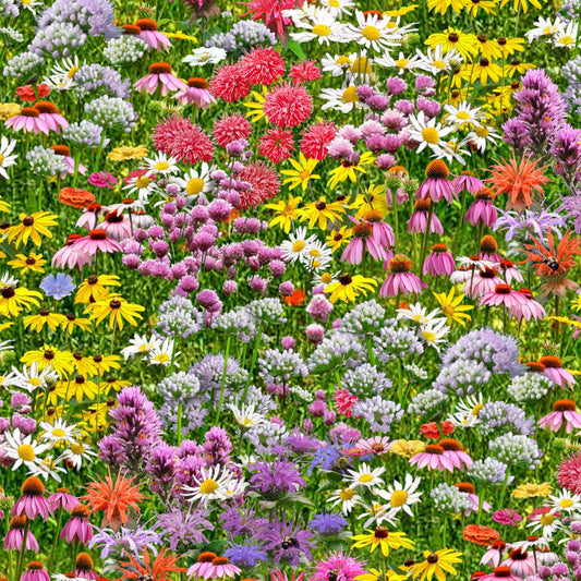 Wildflower Fabric - 100% cotton - Elizabeth's Studio