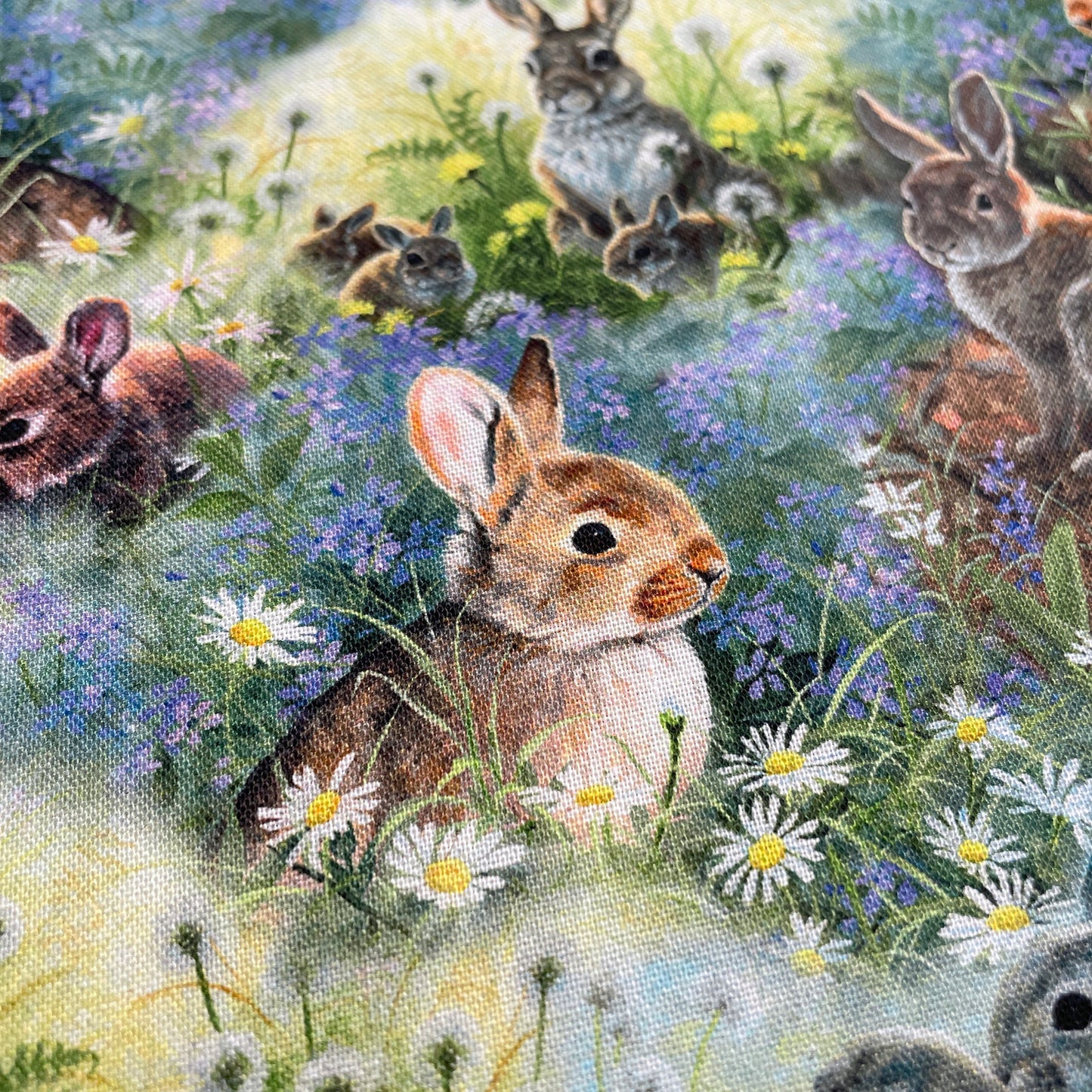 Spring Bunnies fabric - 21496 Multi - 3 Wishes - 100% Cotton Fabric